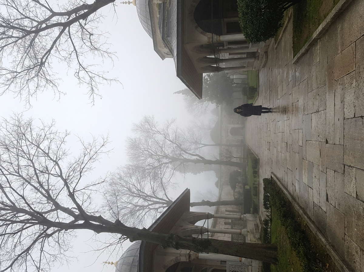 겨울 안개 낀 톱카프 궁전 정원